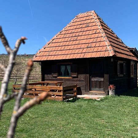 Villa Etno Brvnara Tamara Kremna Esterno foto