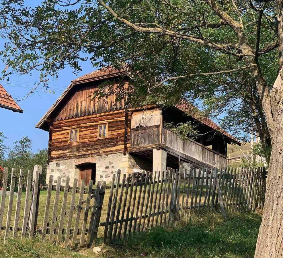 Villa Etno Brvnara Tamara Kremna Esterno foto
